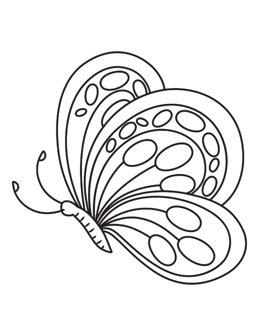 Butterfly Rounded Side View Coloring Pages Pdf Free Vectors